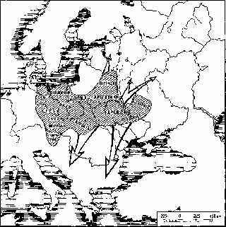 Киевская Русь и русские княжества XII -XIII вв. _4.jpg