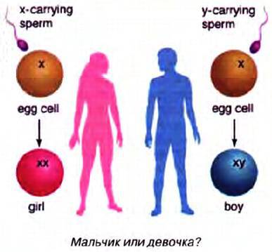 Открытия и гипотезы, 2015 №02 _48.jpg