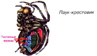 Открытия и гипотезы, 2015 №02 _67.jpg
