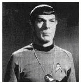 Я — Спок i33-leonard_nimoy_i_am_spock-35.jpg