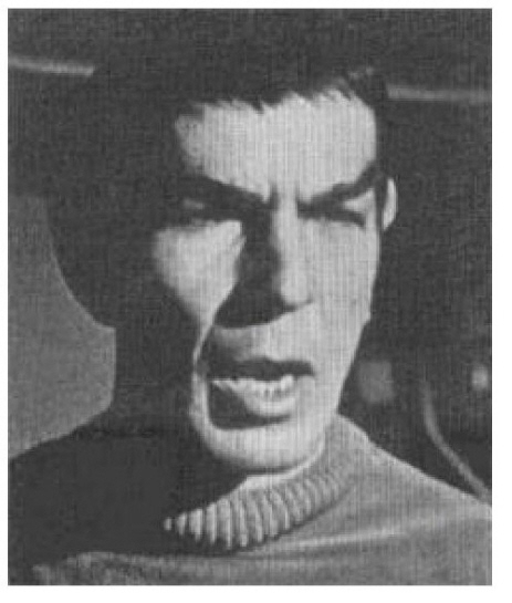 Я — Спок i9-leonard_nimoy_i_am_spock-11.jpg