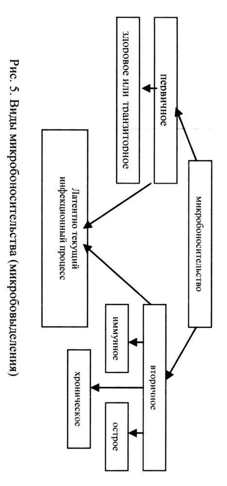 Инфекционные болезни и профилактика внутрибольничных инфекций _6.jpg
