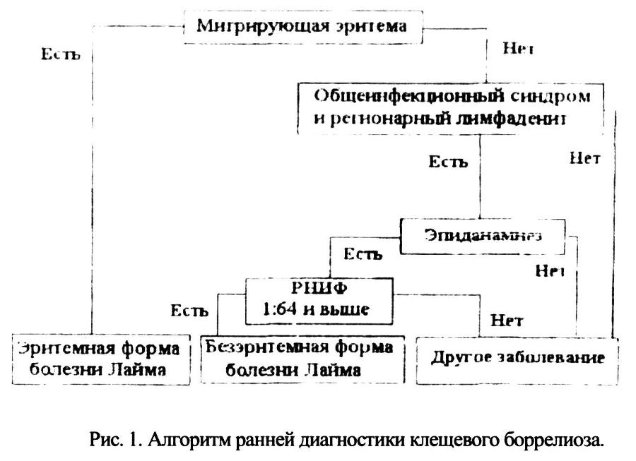 Инфекционные болезни и профилактика внутрибольничных инфекций _2.jpg