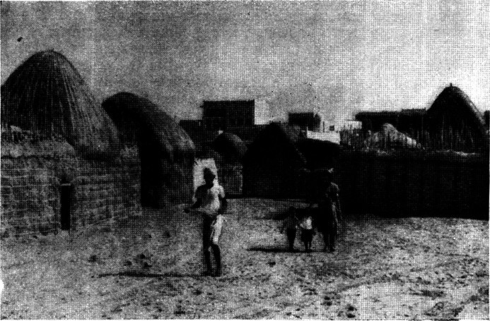 Записки натуралиста i_021.jpg