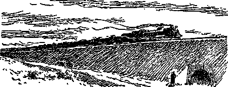 Разведчики (илл. В. Арцеулов) pic_4.png