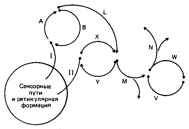 Что такое психология img_135.png