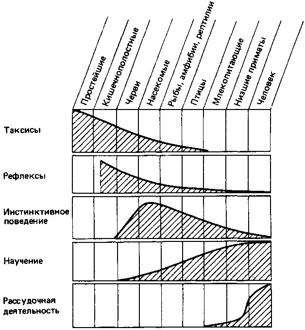 Что такое психология img_13.png