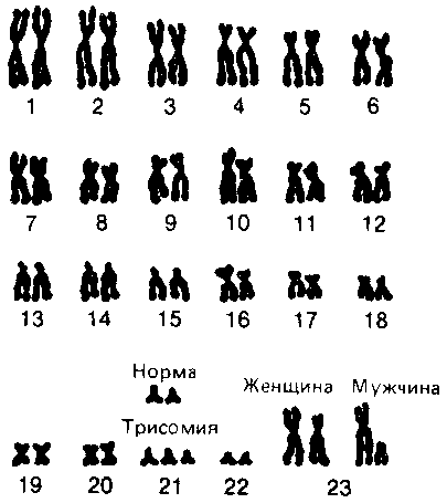 Что такое психология img_230.png