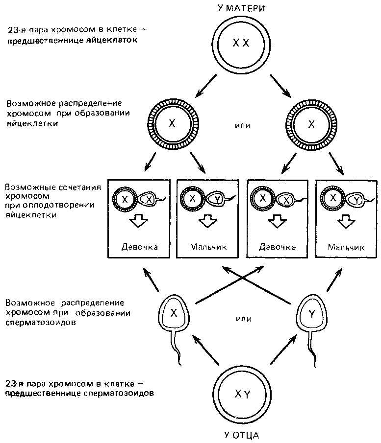 Что такое психология img_231.png