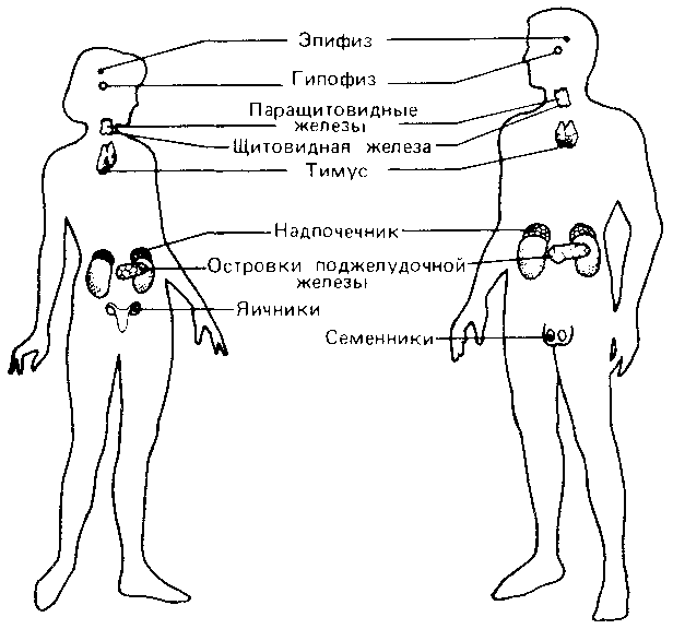 Что такое психология img_247.png