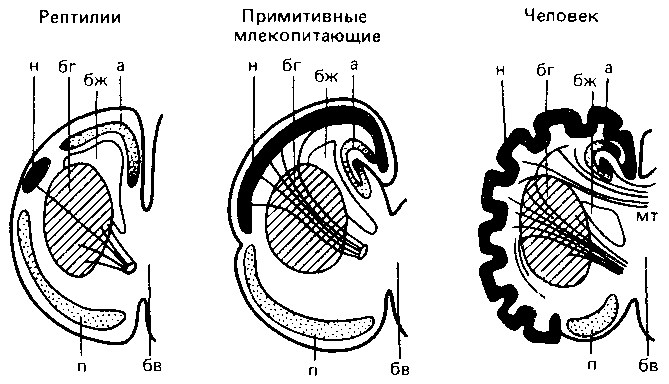 Что такое психология img_253.png