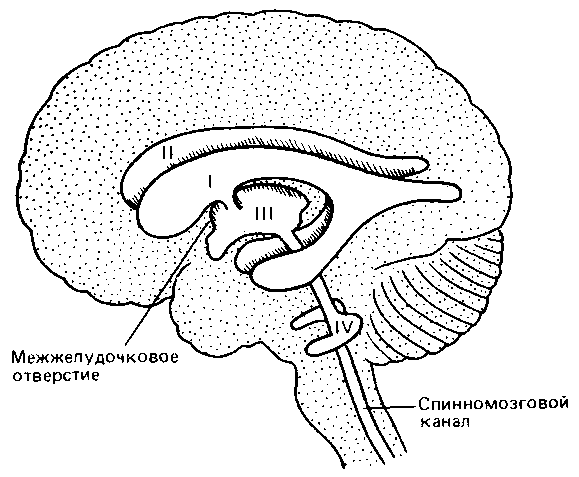 Что такое психология img_255.png