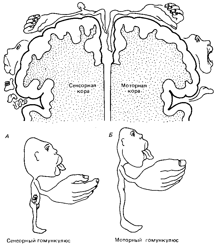 Что такое психология img_259.png