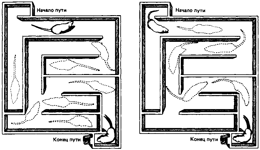 Что такое психология img_47.png
