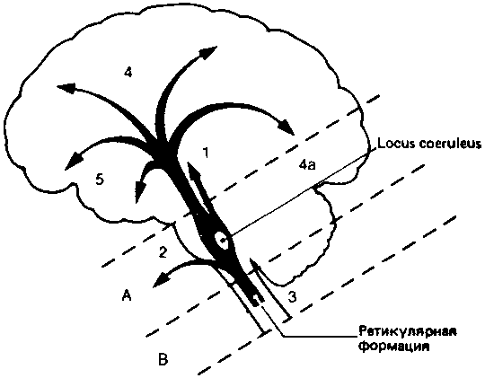 Что такое психология img_56.png