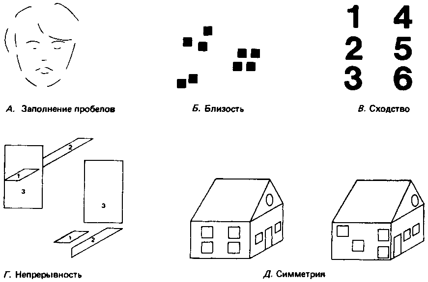 Что такое психология img_61.png