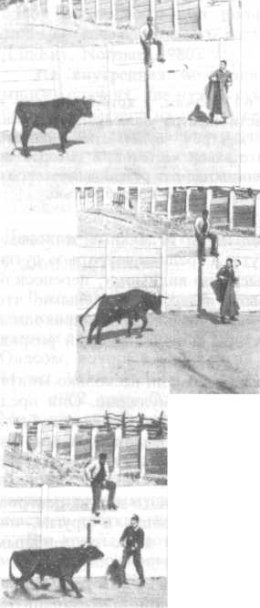 Что такое психология img_94.jpg