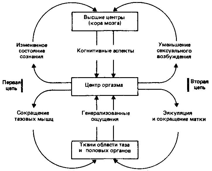 Что такое психология img_97.png