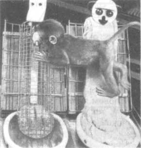 Что такое психология img_98.jpg