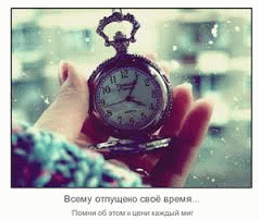 Каждый миг cover.png