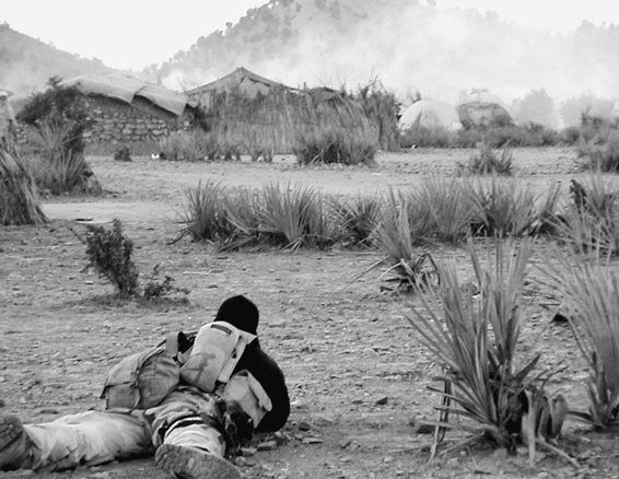 Lone survivor _18.jpg