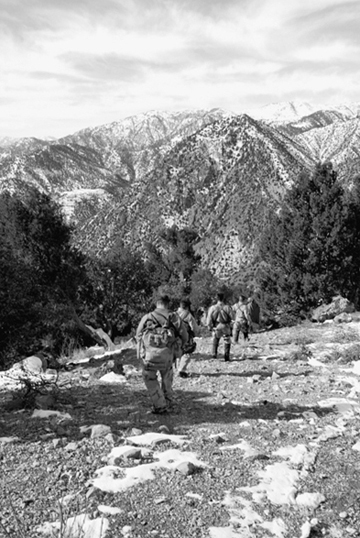 Lone survivor _19.jpg