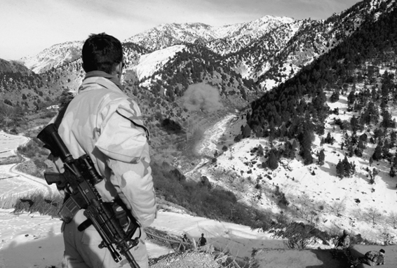 Lone survivor _20.jpg