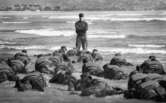 Lone survivor _6.jpg
