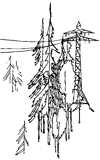 Сокровища капитана Ермакова. Тетрадь вторая pic_40.png