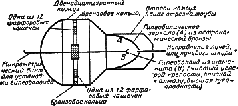 Гиперболоид инженера Гарина. Аэлита (с илл. Г. Мазурина) pic_8.png