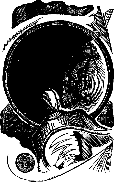 Мы — из солнечной системы (илл. И.М. Андрианов) pic_14.png