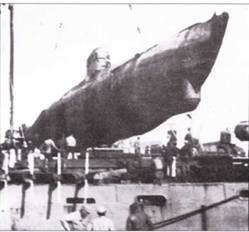 Германские субмарины Тип XVII Крупным планом pic_90.jpg