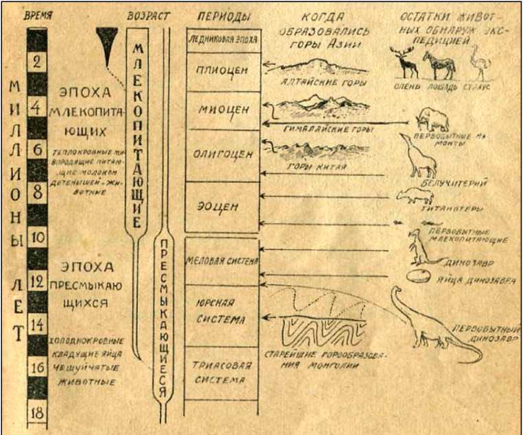 По следам динозавров i_016.jpg