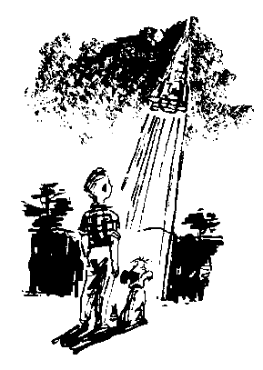 Голубые люди розовой земли (с илл. М. Скобелева и А. Елисеева) pic_34.png