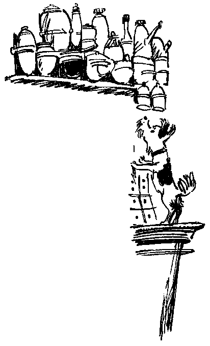 Голубые люди розовой земли (с илл. М. Скобелева и А. Елисеева) pic_13.png