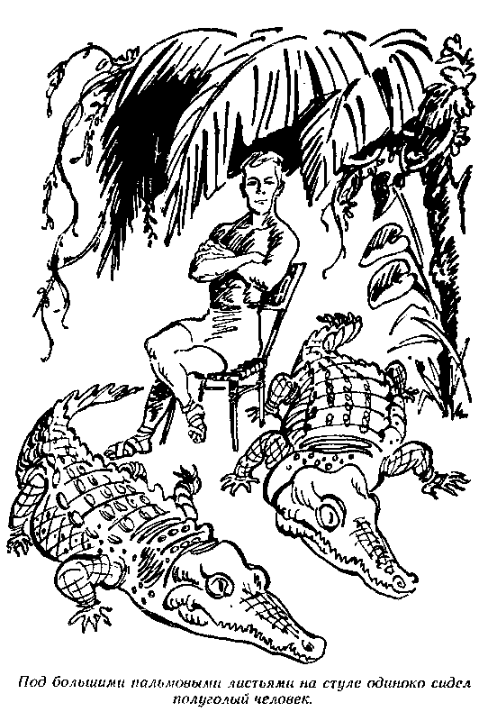 Черный свет (с илл. М. Скобелева и А. Елисеева) pic_12.png