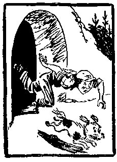 Черный свет (с илл. М. Скобелева и А. Елисеева) pic_6.png