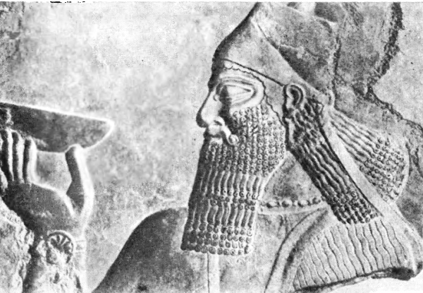 История древней Ассирии i_010.jpg