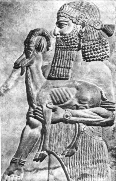 История древней Ассирии i_018.jpg