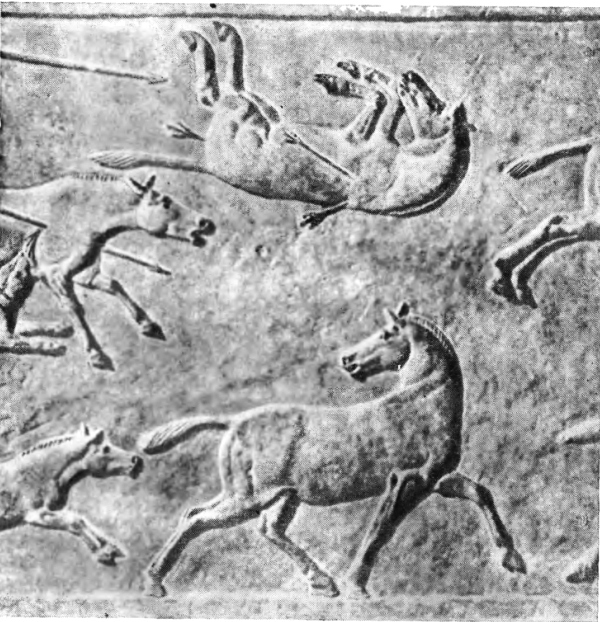 История древней Ассирии i_031.jpg