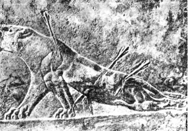 История древней Ассирии i_037.jpg