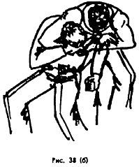 Техника и тактика самообороны _38.jpg_3