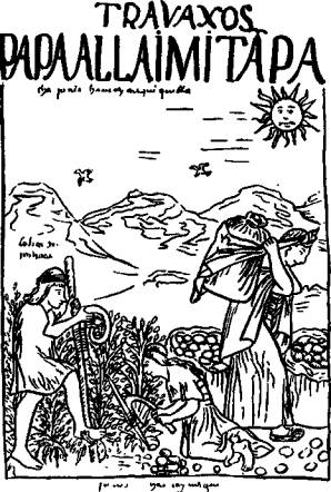 Золото инков i_027.png