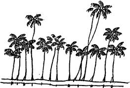 Конкистадоры i_013.png