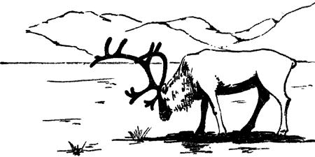 В Стране странностей i_126.png