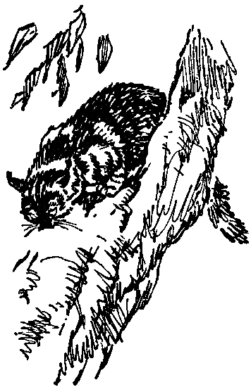 Боцман знает всё i_068.png