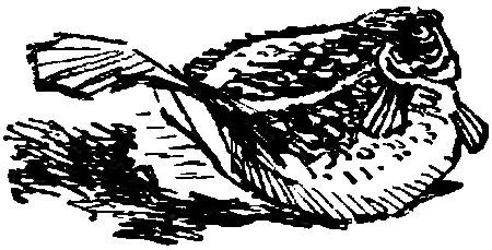 Боцман знает всё i_085.png