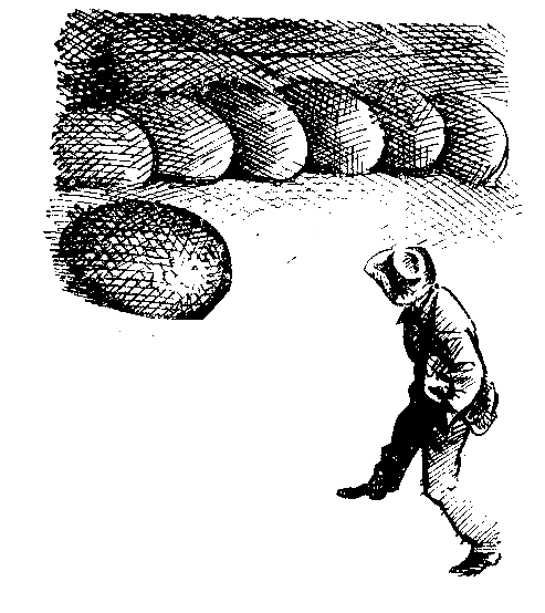 Сиреневый Кристалл (илл. Г. В. Калиновский) pic_12.png