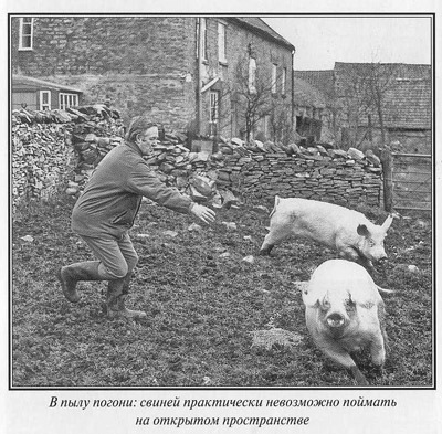 Джеймс Хэрриот. Биография i_047.jpg