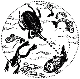 Химический язык насекомых _044.png